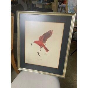 Ray Harm "Summer Tanager" Limited‎ Edition Art Print Framed Wildlife Bird Art